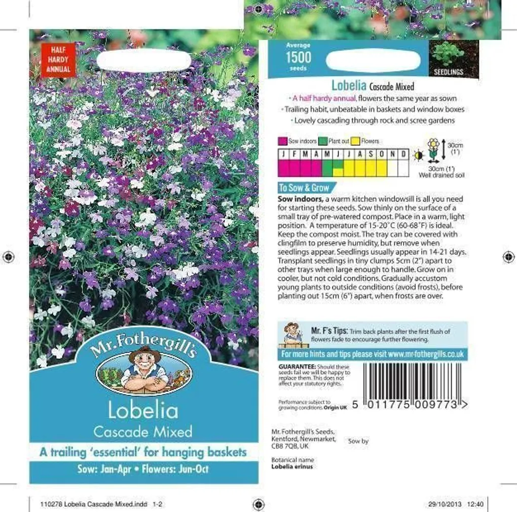 LILLESEEMNED LOBEELIA CASCADE MIX