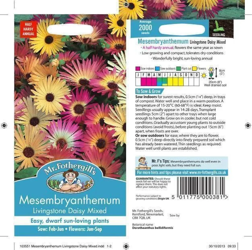 LILLESEEMNED LÕUNALILL LIVINGSTONE DAISY MIX