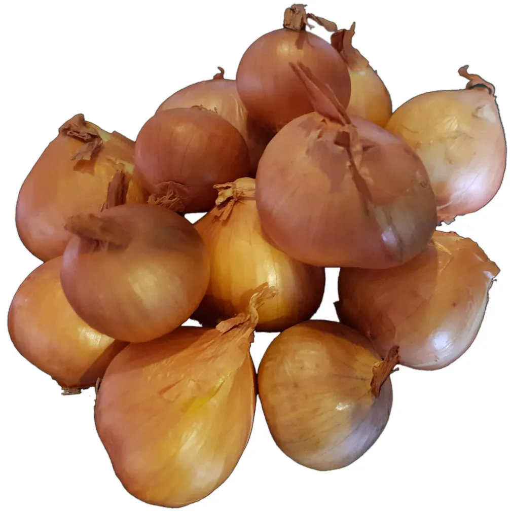 TIPPSIBUL GOLDEN GOURMET Ø7-14MM 0,5KG