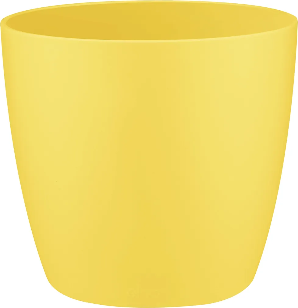 LILLEPOTIÜMBRIS BRUSSELS Ø12,5CM KOLLANE
