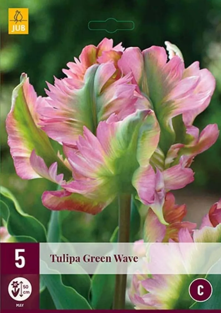 LILLESIBUL JUB TULP GREEN WAVE 5TK PAKIS