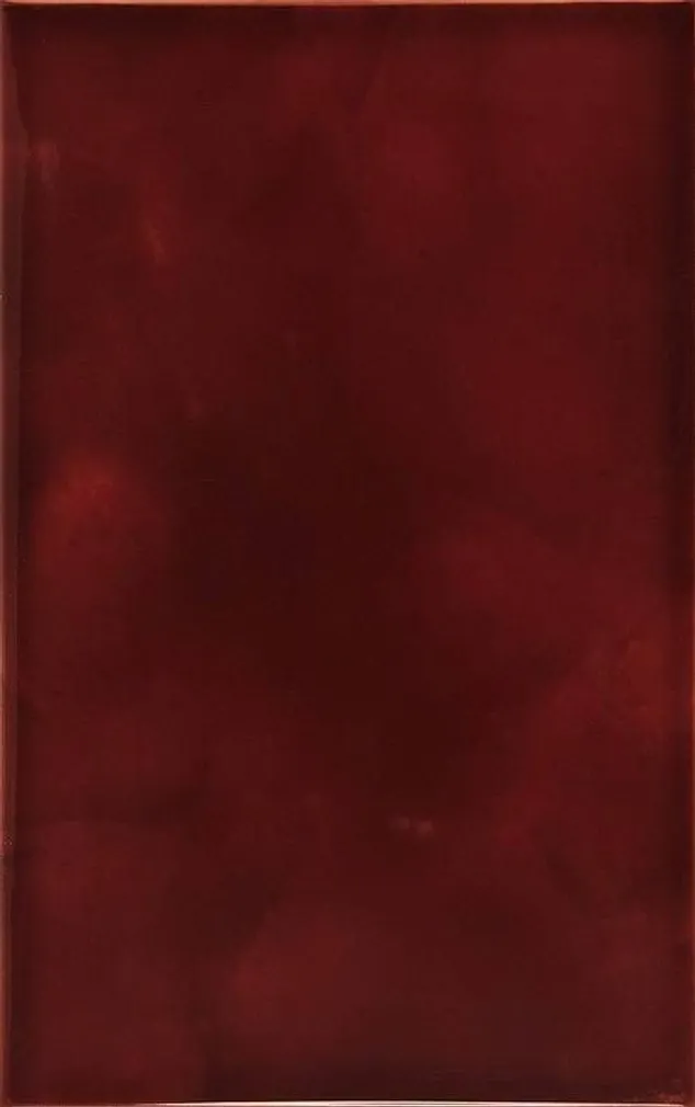 KERAAMILINE SEINAPLAAT ATEM LIANA DARK PINK 22X35CM