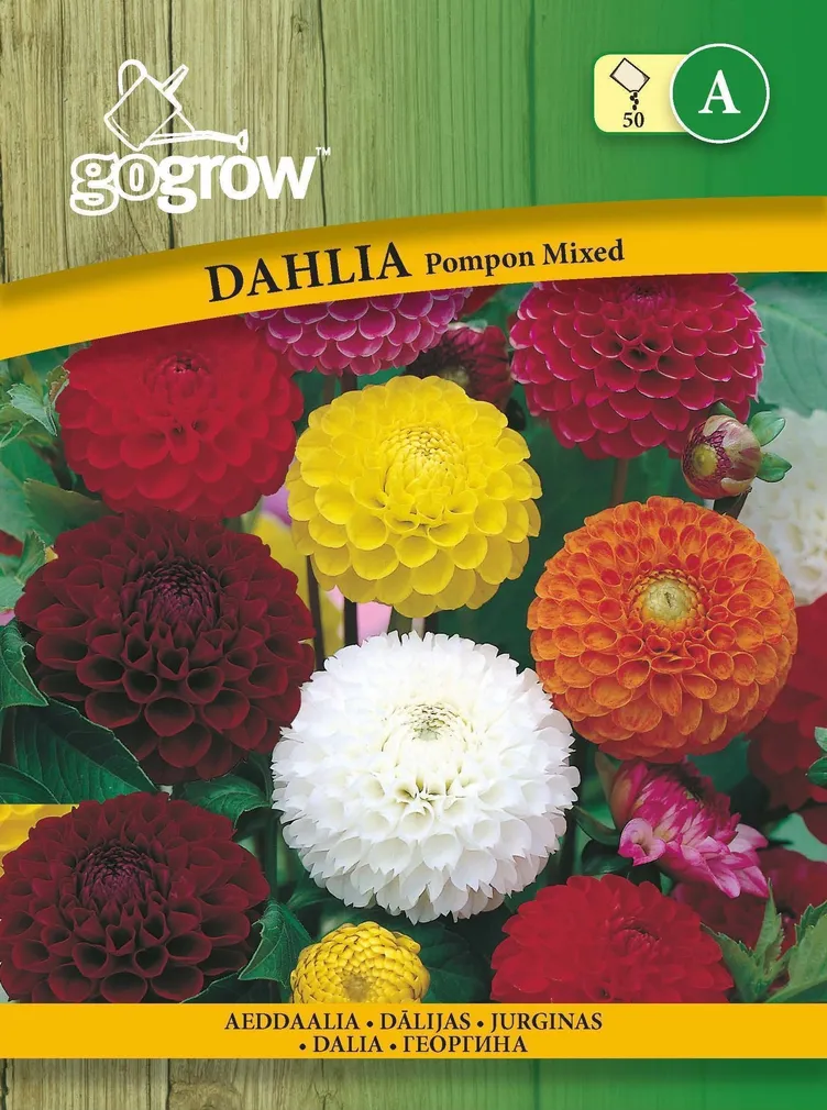 LILLESEEMNED GO GROW AEDDAALIA POMPON SEGU