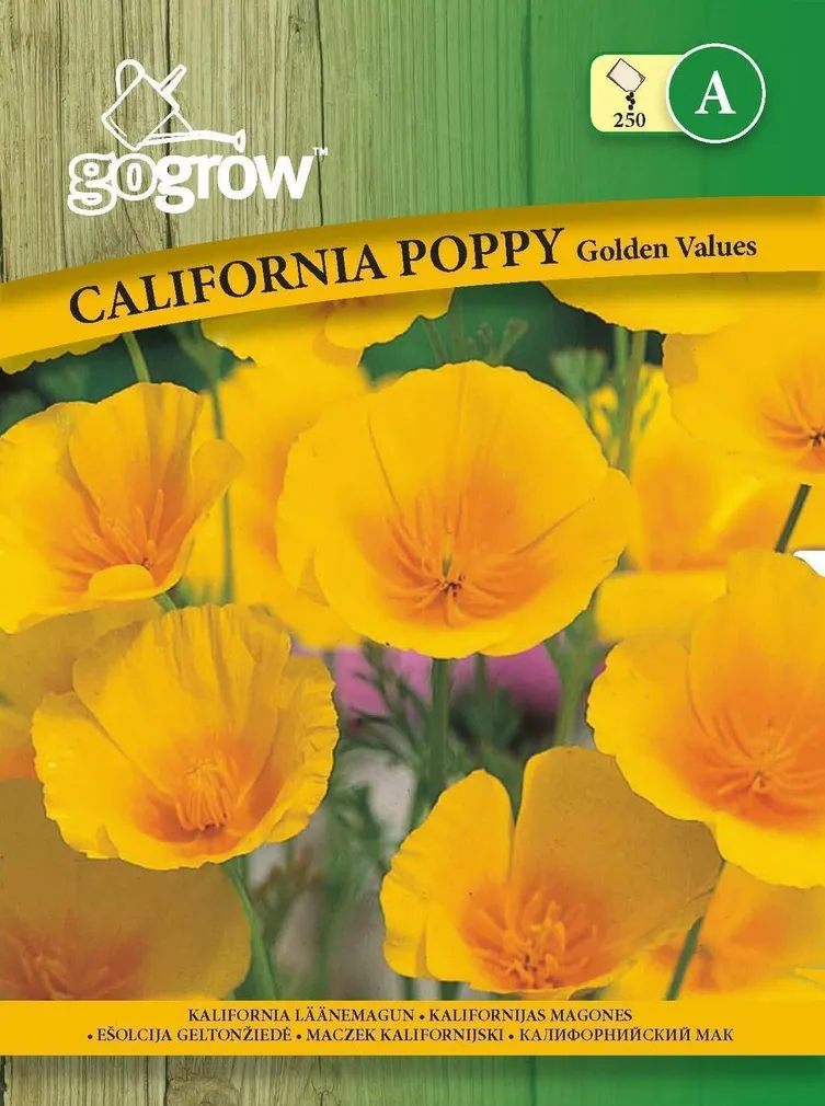 LILLESEEMNED GO GROW KALIFORNIA LÄÄNEMAGUN GOLDEN VALUES