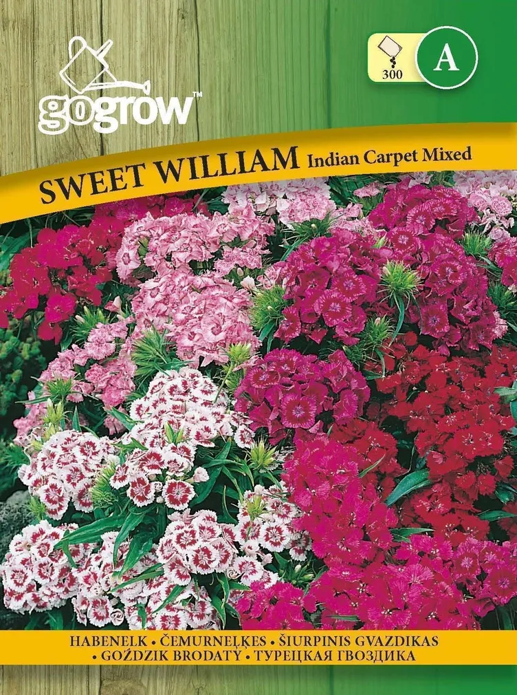 LILLESEEMNED GO GROW HABENELK INDIAN CARPET SEGU