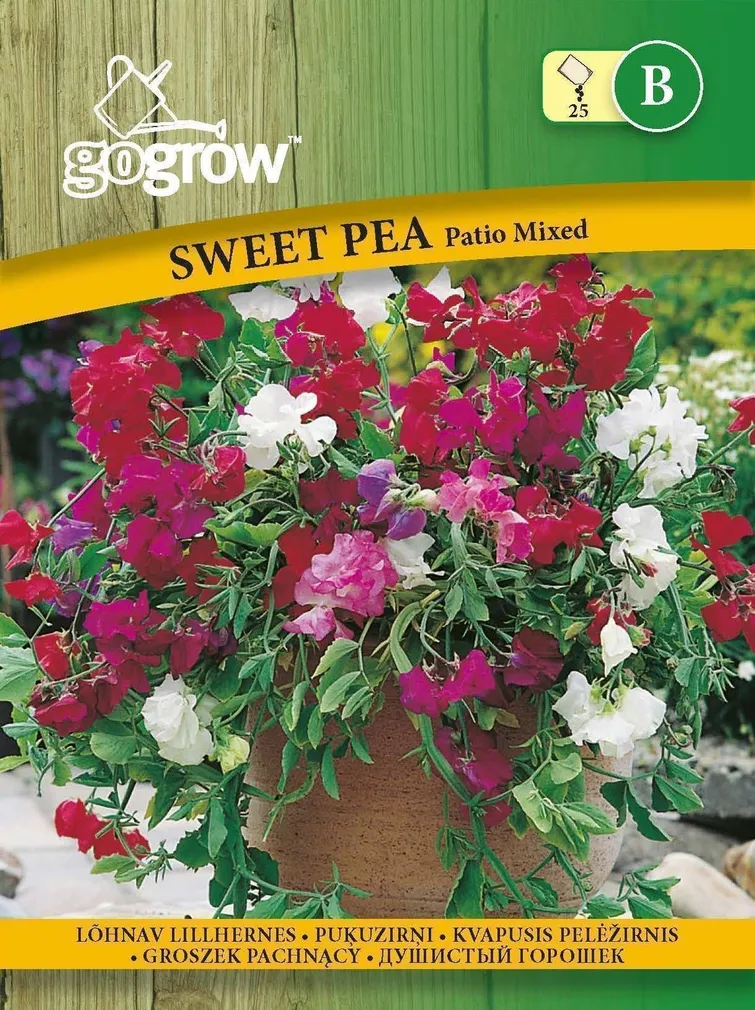 LILLESEEMNED GO GROW LÕHNAV LILLHERNES PATIO SEGU