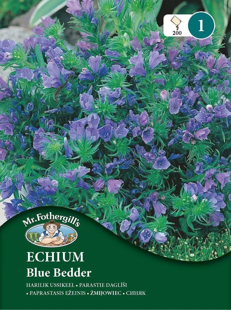 LILLESEEMNED MR FOTHERGILL’S HARILIK USSIKEEL BLUE BEDDER