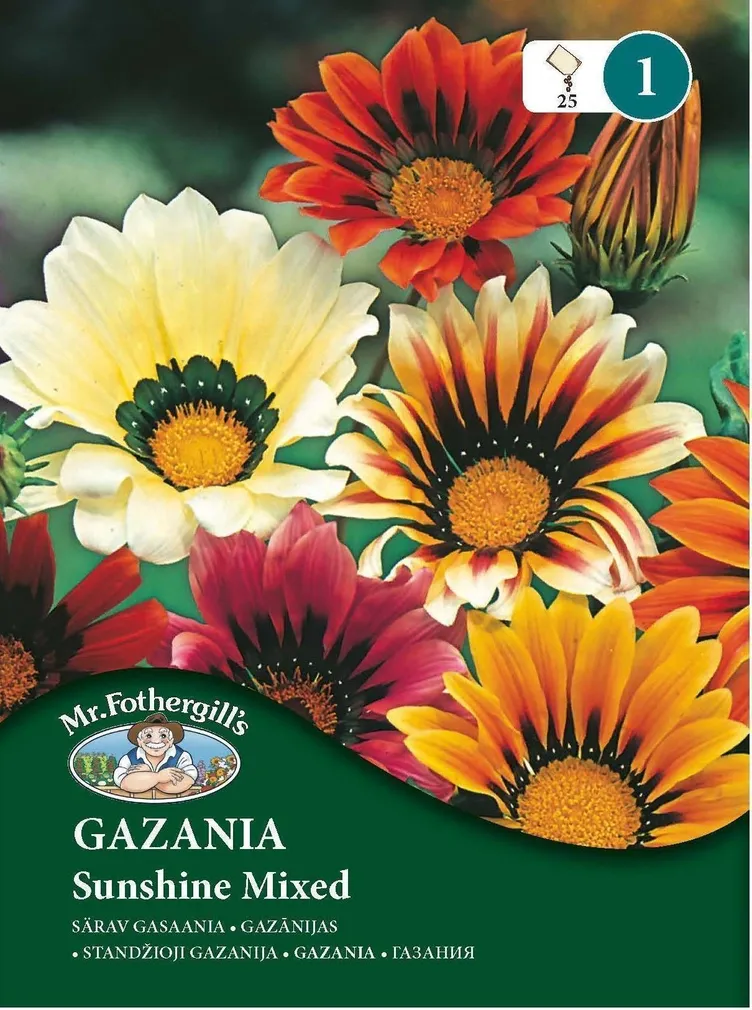LILLESEEMNED MR FOTHERGILL’S SÄRAV GASAANIA SUNSHINE SEGU
