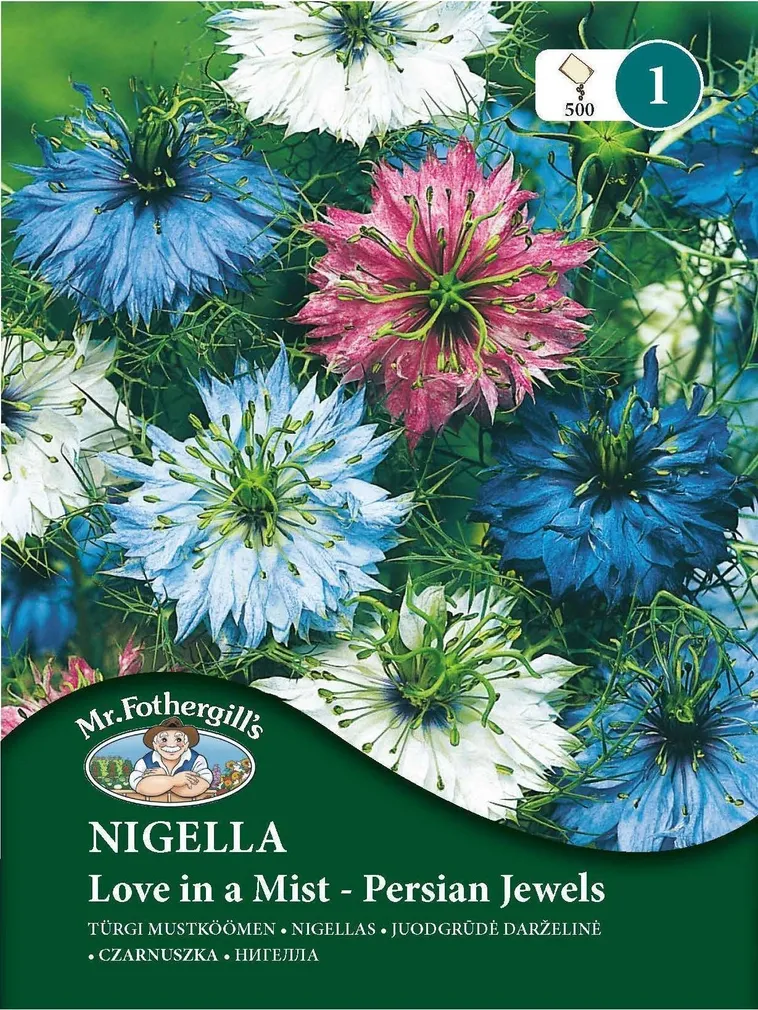 LILLESEEMNED MR FOTHERGILL’S TÜRGI MUSTKÖÖMEN LOVE IN A MIST - PERSIAN JEWE