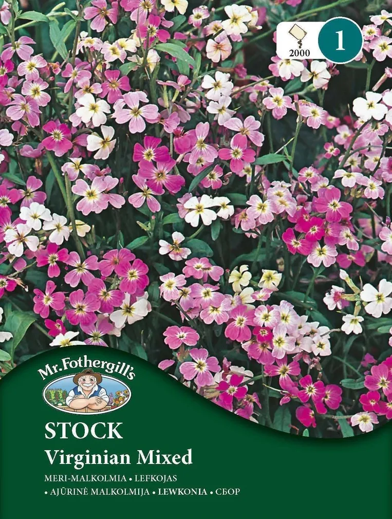 LILLESEEMNED MR FOTHERGILL’S MERI-MALKOLMIA VIRGINIAN SEGU