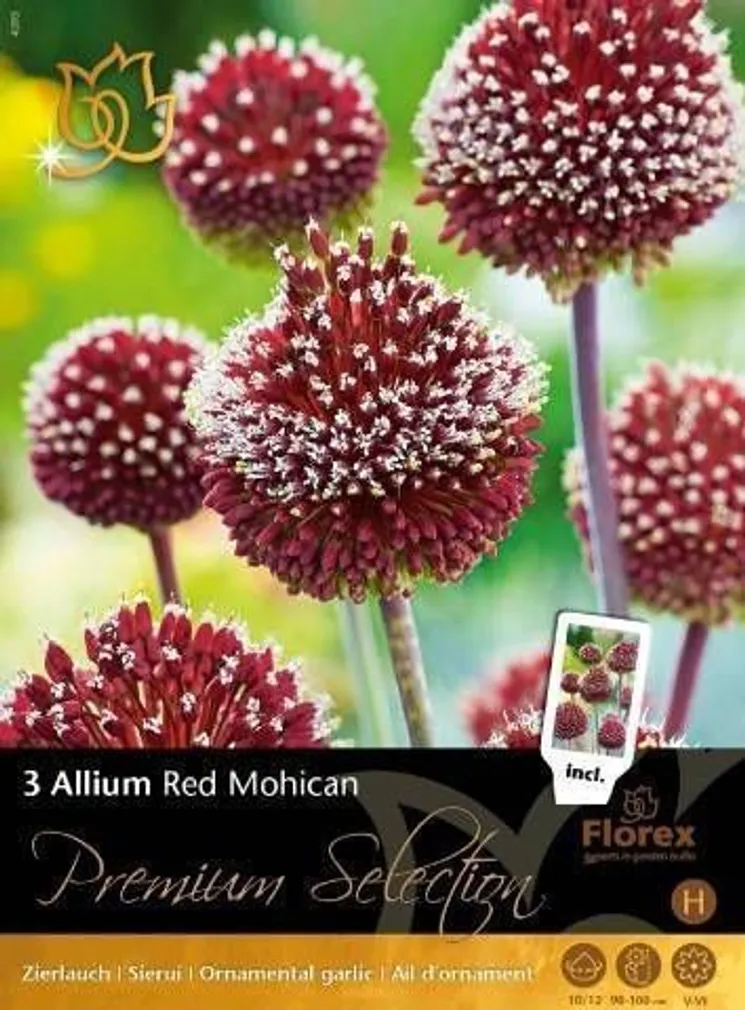 LILLESIBUL LAUK FLOREX RED MOHICAN 10/12 3TK PAKIS