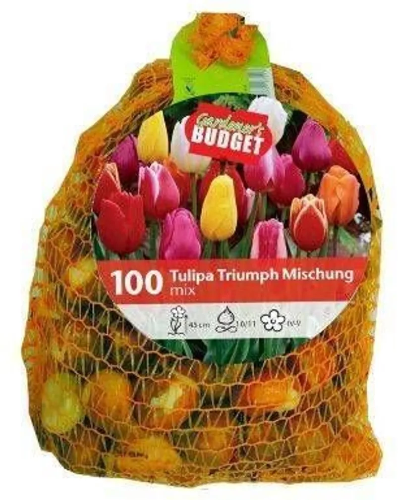 LILLESIBUL TRIUMFTULP MIX FLOREX 10/11 100TK PAKIS