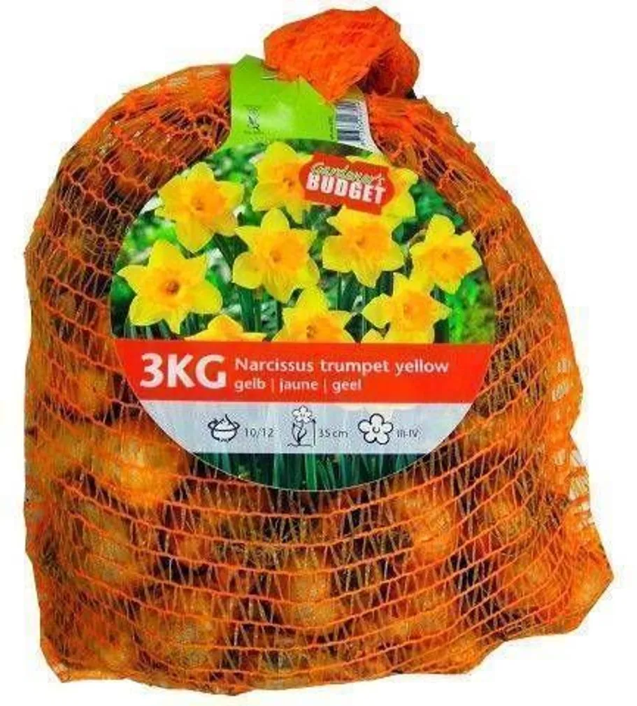 LILLESIBUL NARTSISS FLOREX YELLOW 3 KG