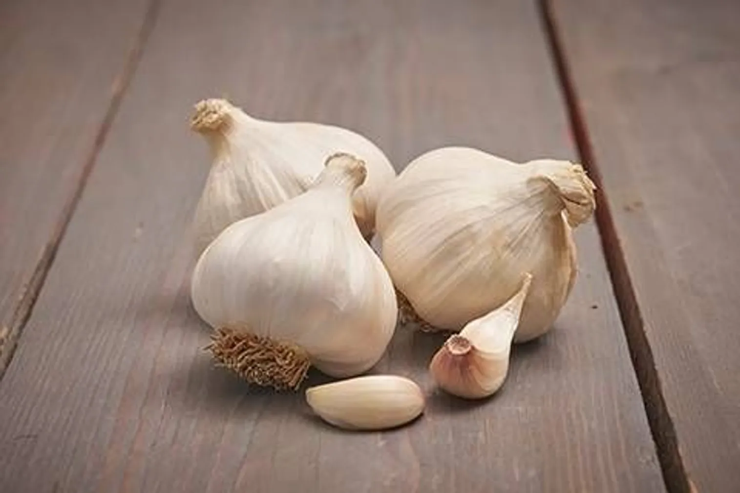 TALIKÜÜSLAUK MESSIDROME Ø60+ 200G±30G/PAKK