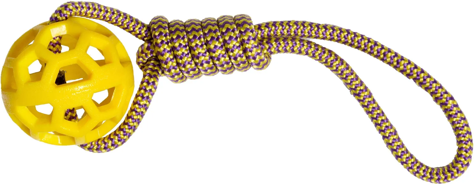 MÄNGUASI HAUHAUCHAMPION KOERTELE KÖIEGA PALL 8X32CM