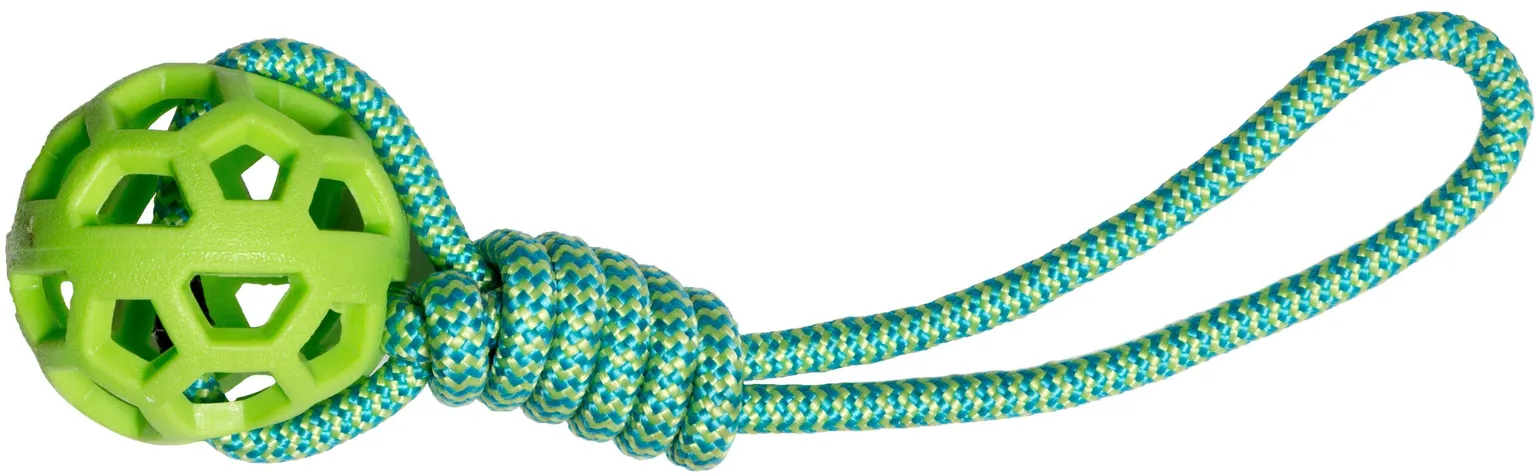 MÄNGUASI HAUHAUCHAMPION KOERTELE KÖIEGA PALL 8X32CM