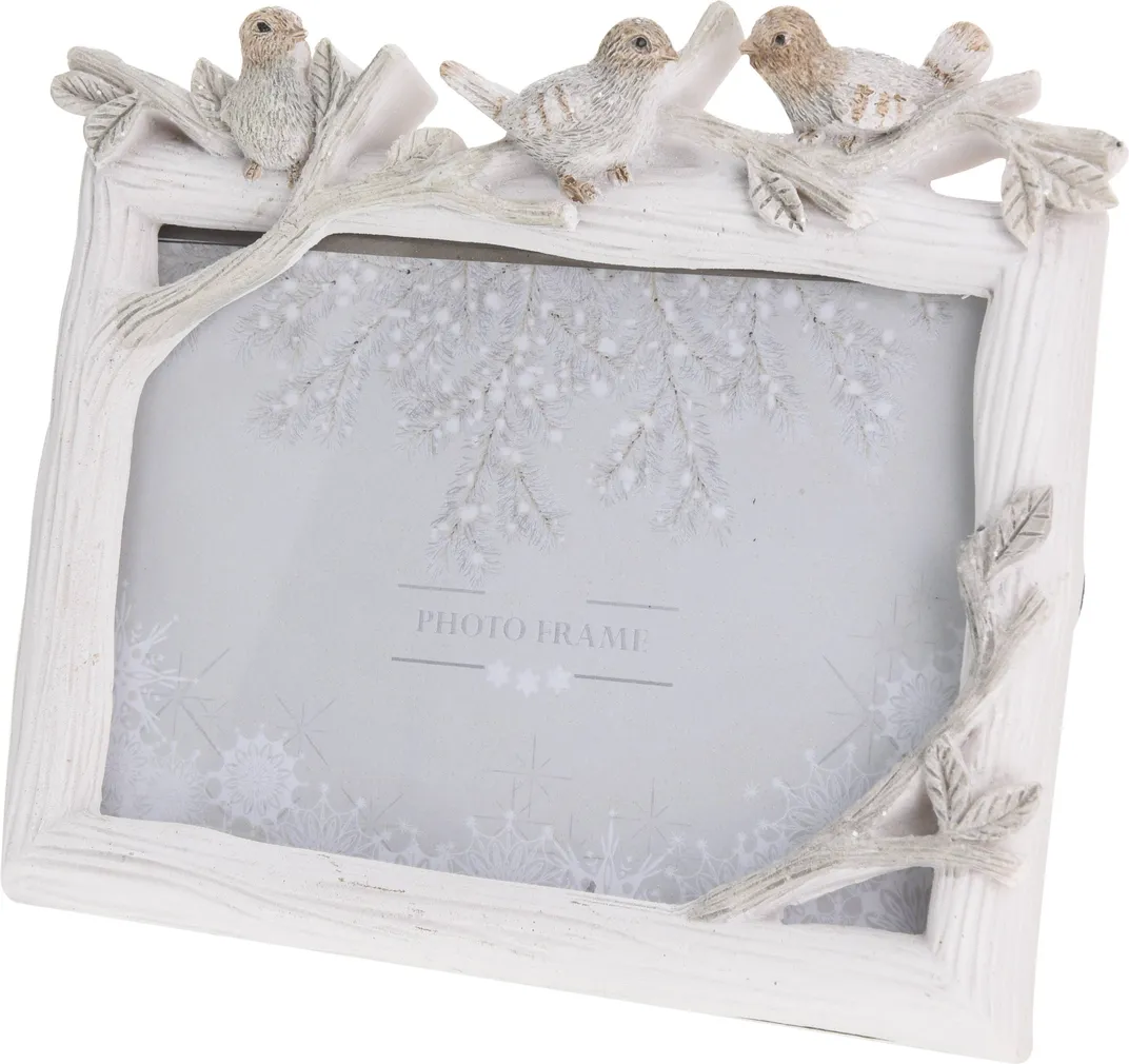 PILDIRAAM LINDUDEGA 17X14,5X2,5CM VALGE