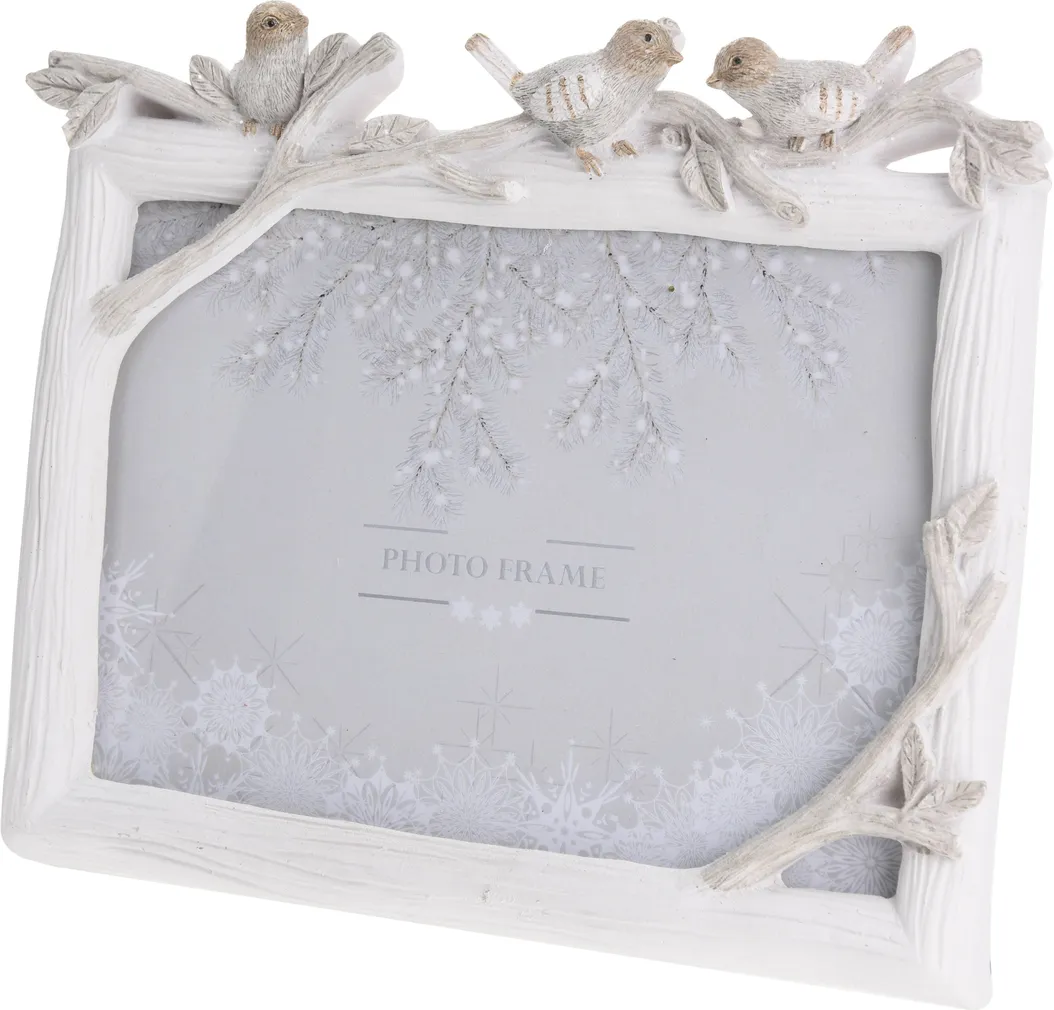 PILDIRAAM LINDUDEGA 20X18X2,5CM VALGE
