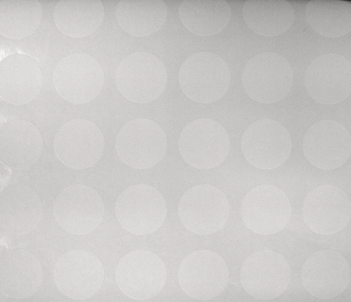 TAPEET DUTCH WALLCOVERINGS SCHUIMVINYL CIRKEL WIT 6806-0