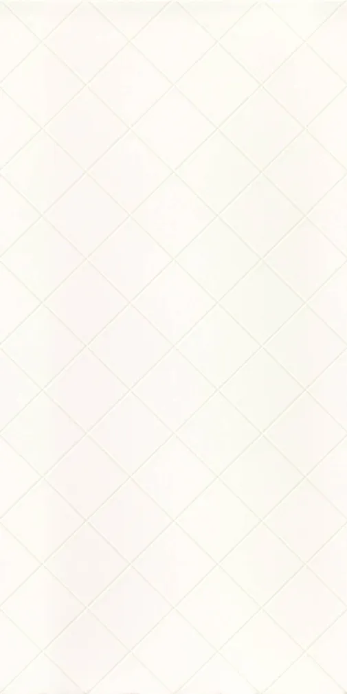 KERAAMILINE SEINAPLAAT PARADYZ TONNES BIANCO KRATKA 30X60CM