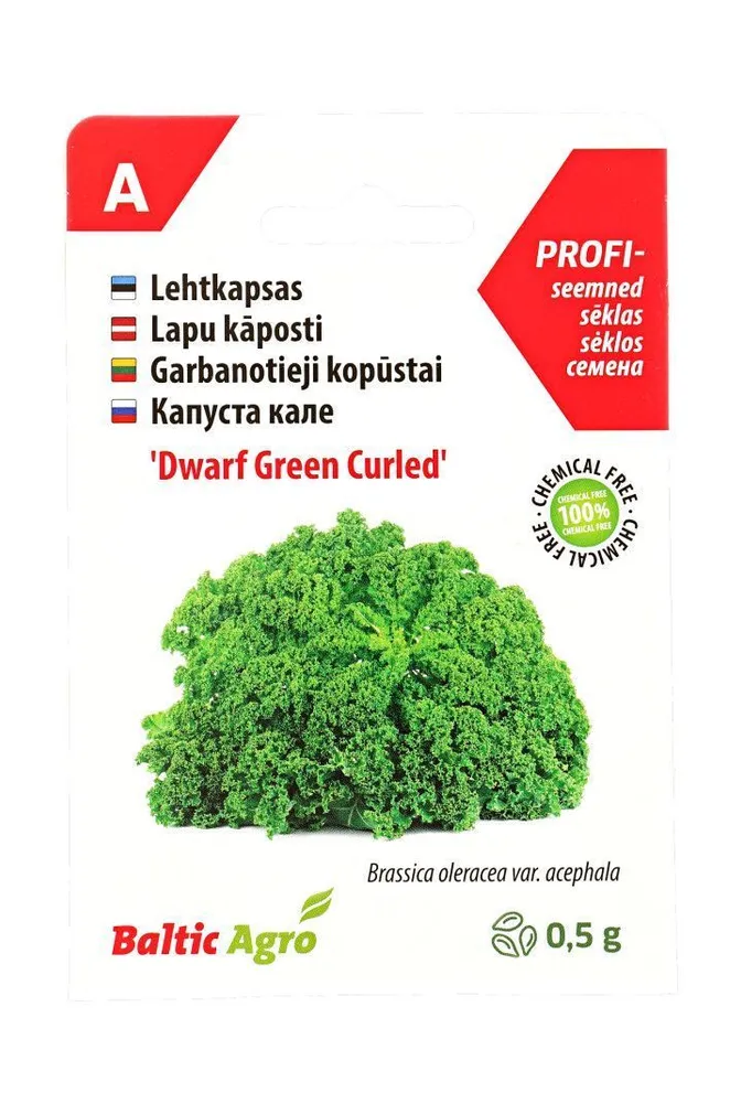 SEEMNED BALTIC AGRO LEHTKAPSAS DWARF GREEN CURLED - AFRO