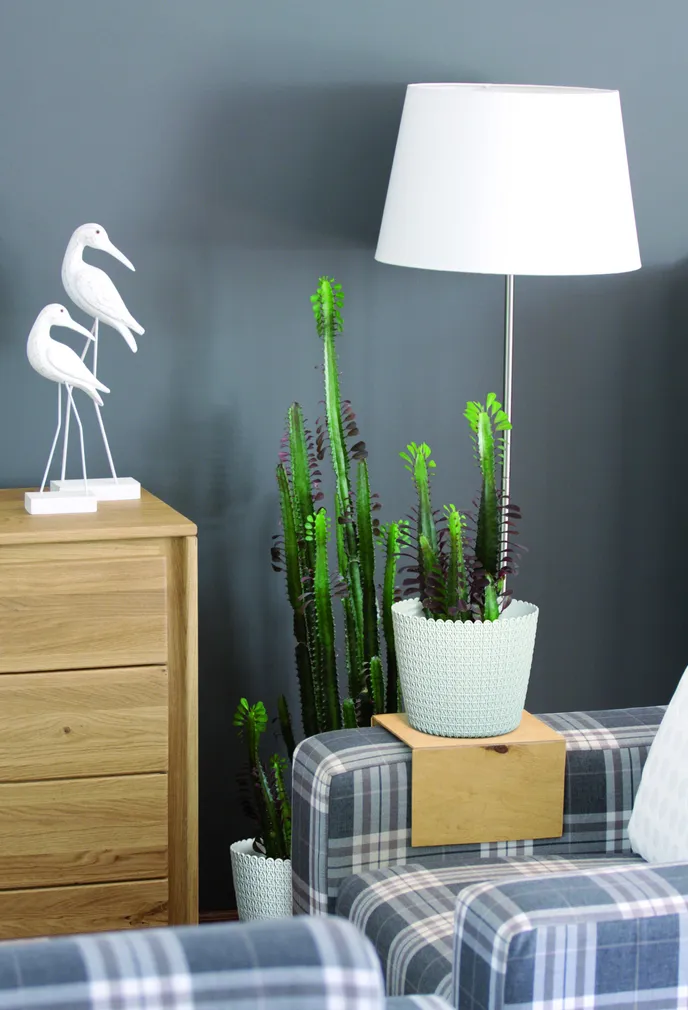 LILLEPOTIÜMBRIS NIFLY Ø16CM PROSPERPLAST VALGE PLASTIK