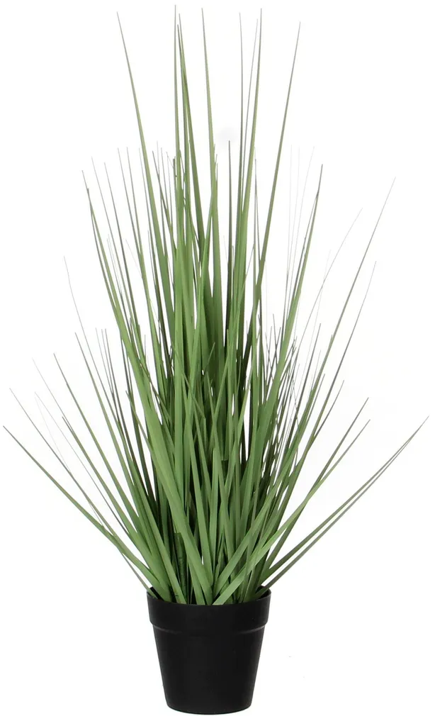 DEKORATIIVKÕRRELINE Ø10CM POTIS H53CM ROHELINE