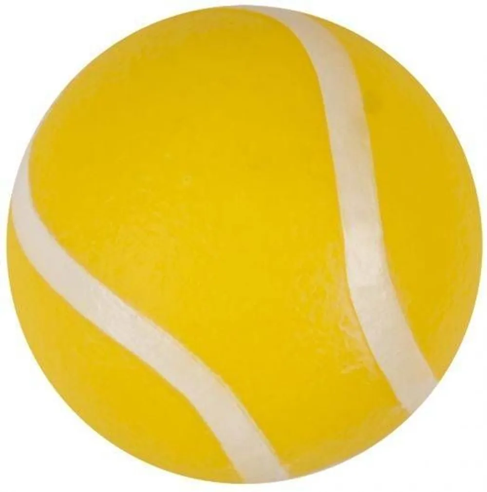 KOERALELU TENNISEPALL DUVO+ Ø7,3CM