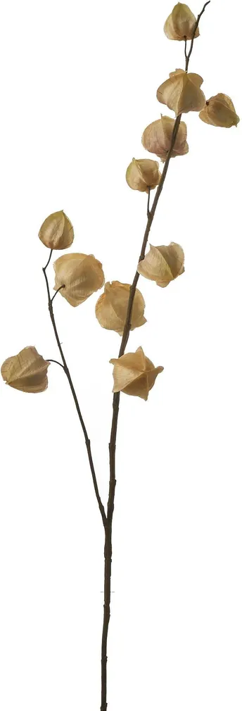 KUNSTTAIM MICA DECORATIONS HIINA LATERN 94CM BEEŽ