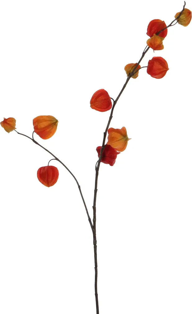 KUNSTTAIM MICA DECORATIONS HIINA LATERN 94CM ORANŽ