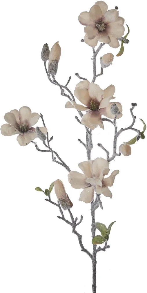 KUNSTTAIM HOUSE OF SEASONS MAGNOOLIA OKSAD 77CM BEEŽ