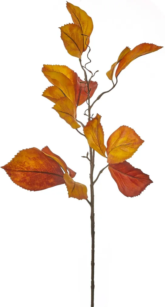 KUNSTTAIM MICA DECORATIONS PARTHENOCISSUS 76CM ORANŽ