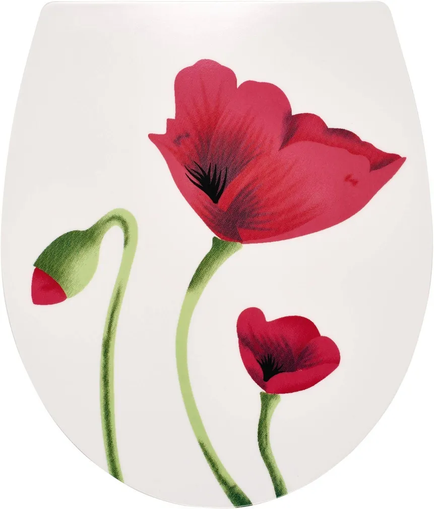 PRILL-LAUD RIDDER MOHN VAIKSELT SULGUV DUROPLAST KIRJU