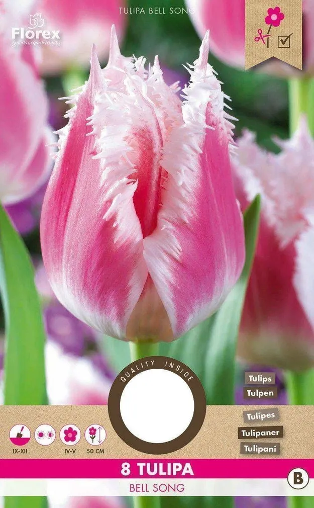LILLESIBUL NARMASSERVALINE TULP FLOREX BELL SONG 8TK PAKIS