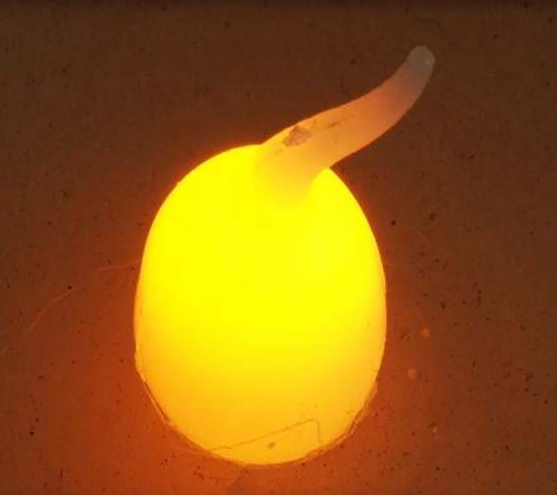 LED KÜÜNAL Ø7X9CM TAIMERIGA PATAREI TOITEL VALGE