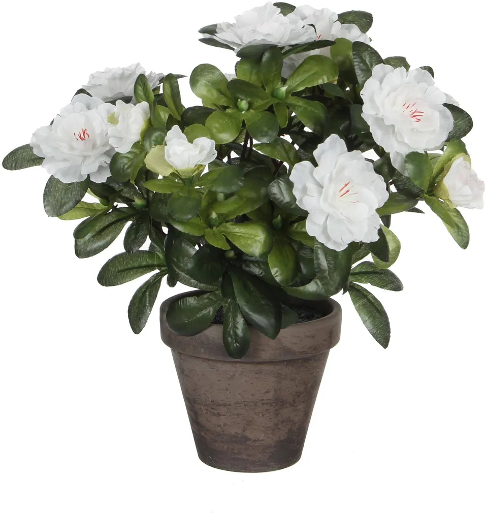 KUNSTLILL MICA DECORATIONS ASALEA 27CM POTIS Ø11,5CM VALGE/HALL