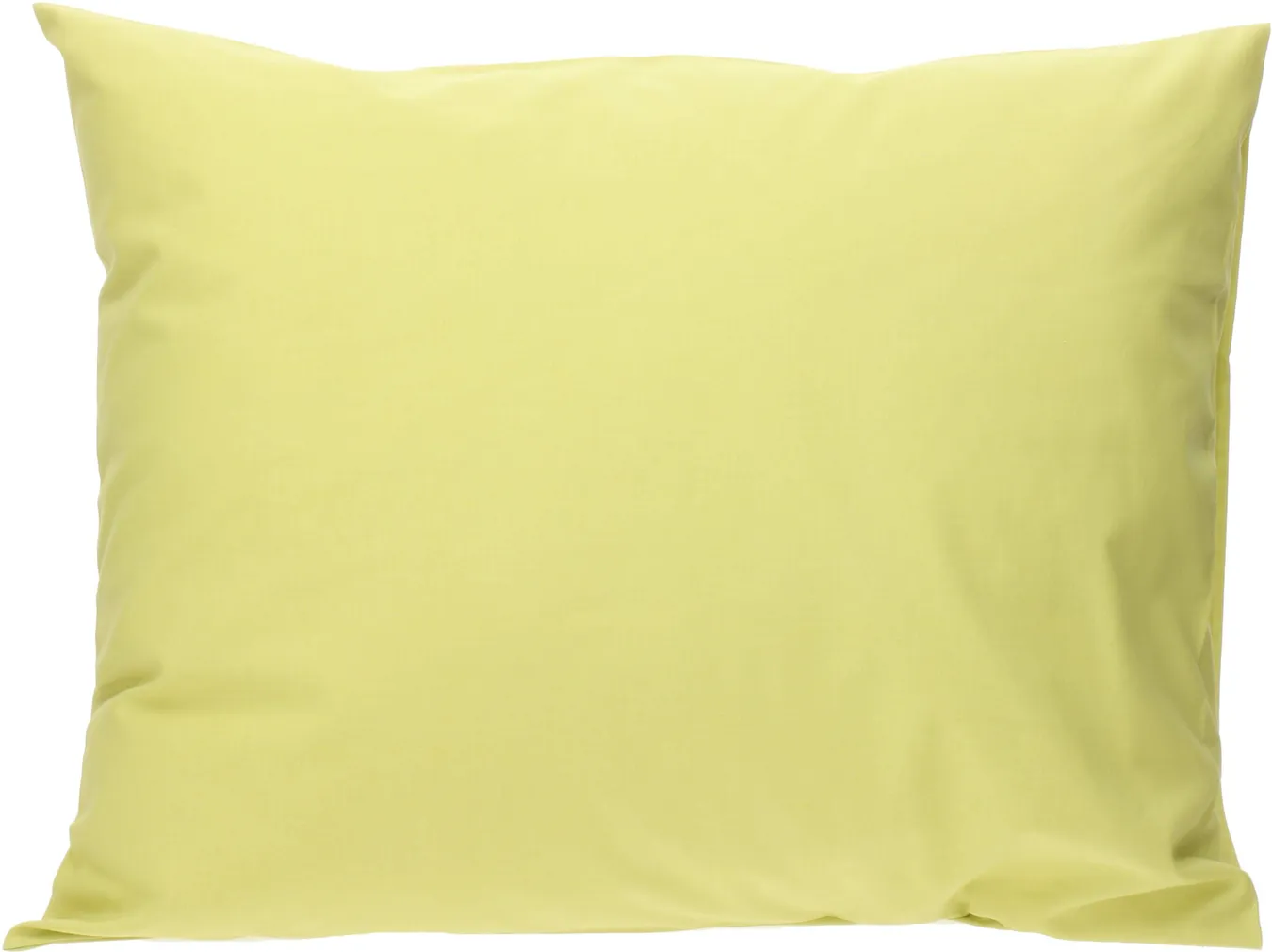 PADJAPÜÜR 50X60+20CM 100% PUUVILL 5079 LAIMIROHELINE