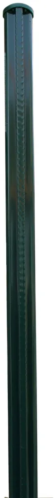 AIAPOST GRASS 50X2500MM ROHELINE (RAL6005)