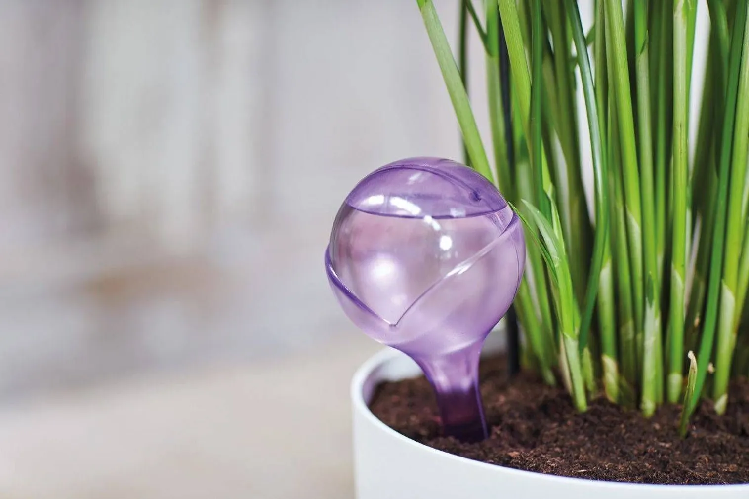 MULLA NIISUTAJA ELHO AQUA CARE LÄBIPAISTEV 2TK