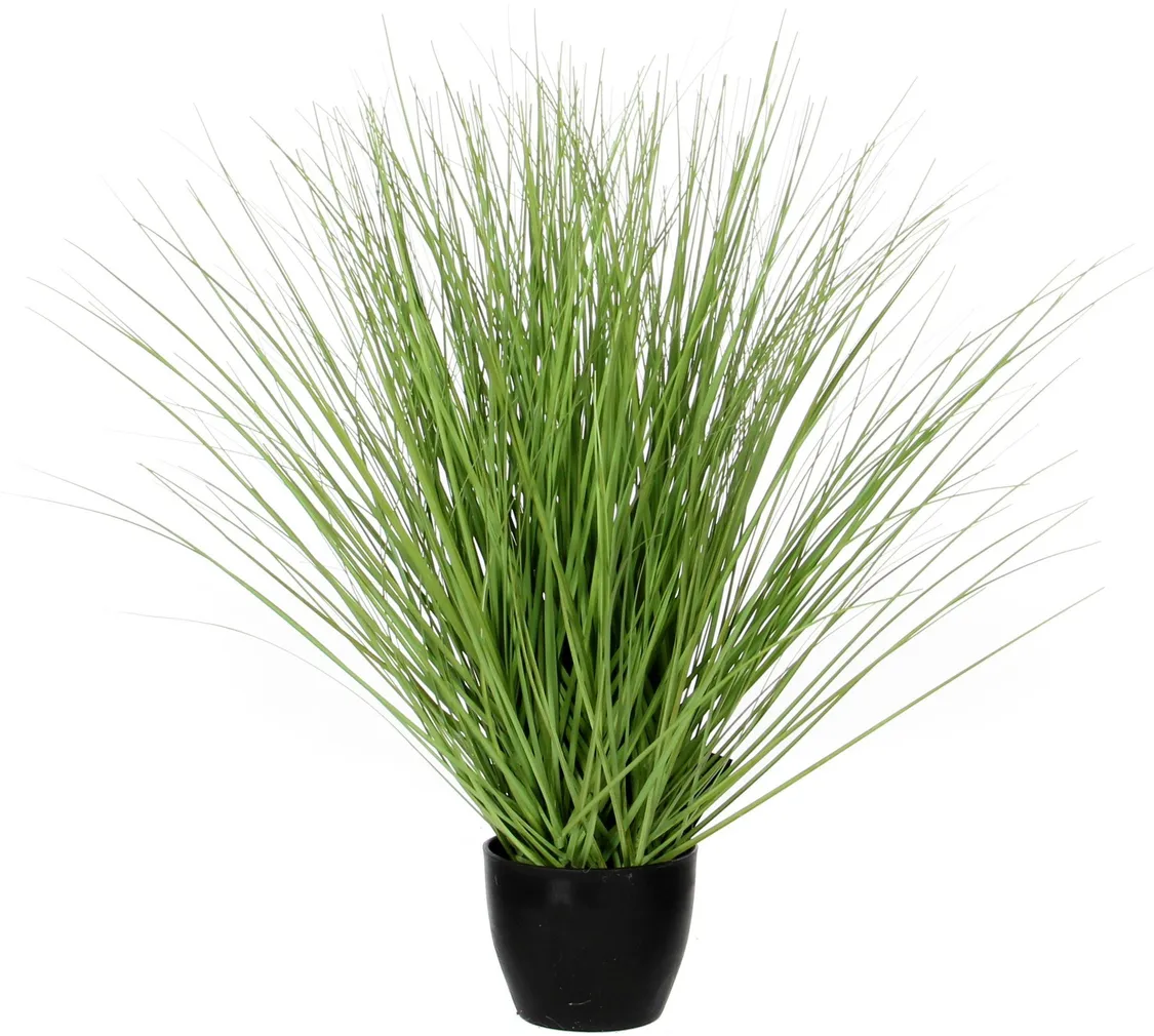 KUNSTTAIM ESSENTIAL POTIS Ø11,5-50CM ROHELINE