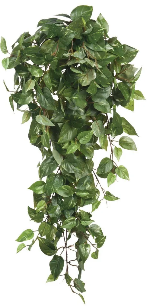 KUNSTTAIM ESSENTIAL SCINDAPSUS RIPPUV 80X30X15CM ROHELINE