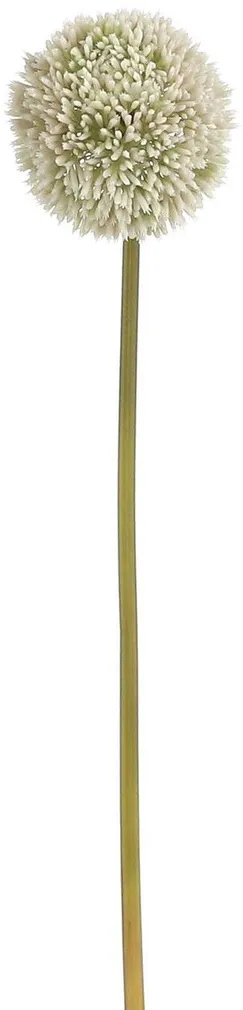 KUNSTTAIM SEASSPRING ALLIUM 66CM KREEM