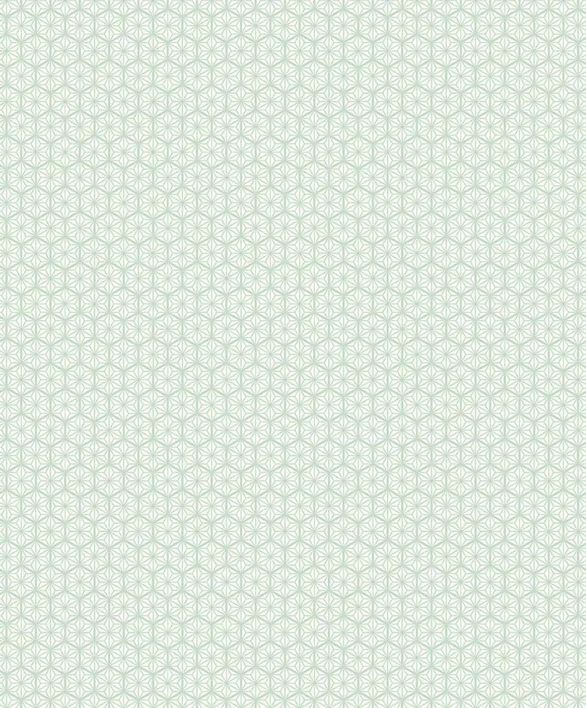 TAPEET OPEN SHEET ROLF 113703 0,53X10,05M