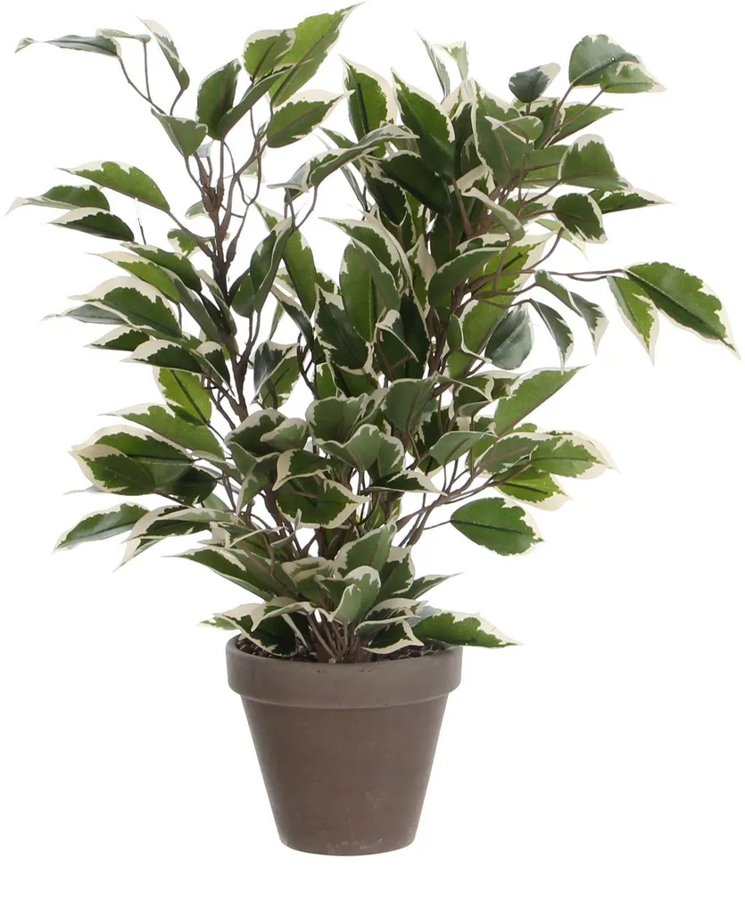 KUNSTLILL MICA DECORATIONS FIIKUS NATASJA POTIS Ø11,5CM ROHELINE/HALL