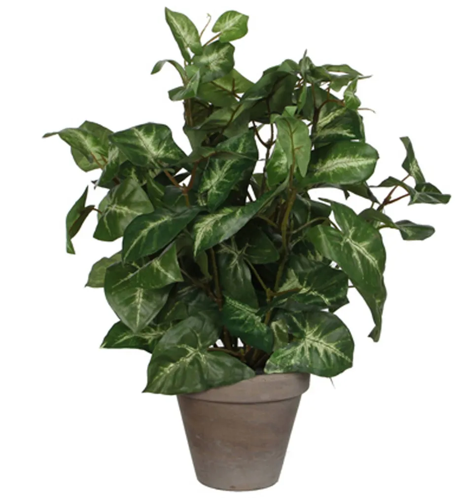 KUNSTLILL MICA DECORATIONS FITTONIA Ø25X35CM POTIS Ø11,5CM ROHELINE/HALL