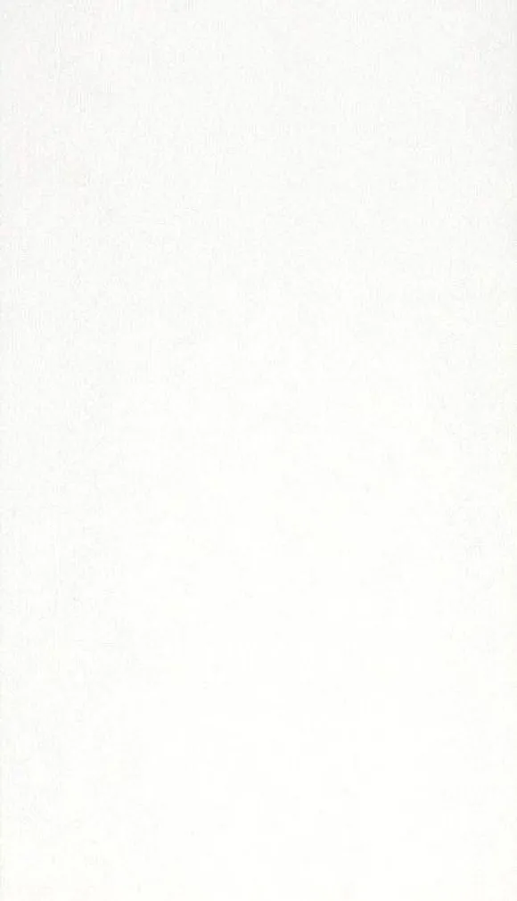 SEINAPANEEL KRONO ORIGINAL MDF 2600X280X7MM 9087 VALGE 5,1M2/PK