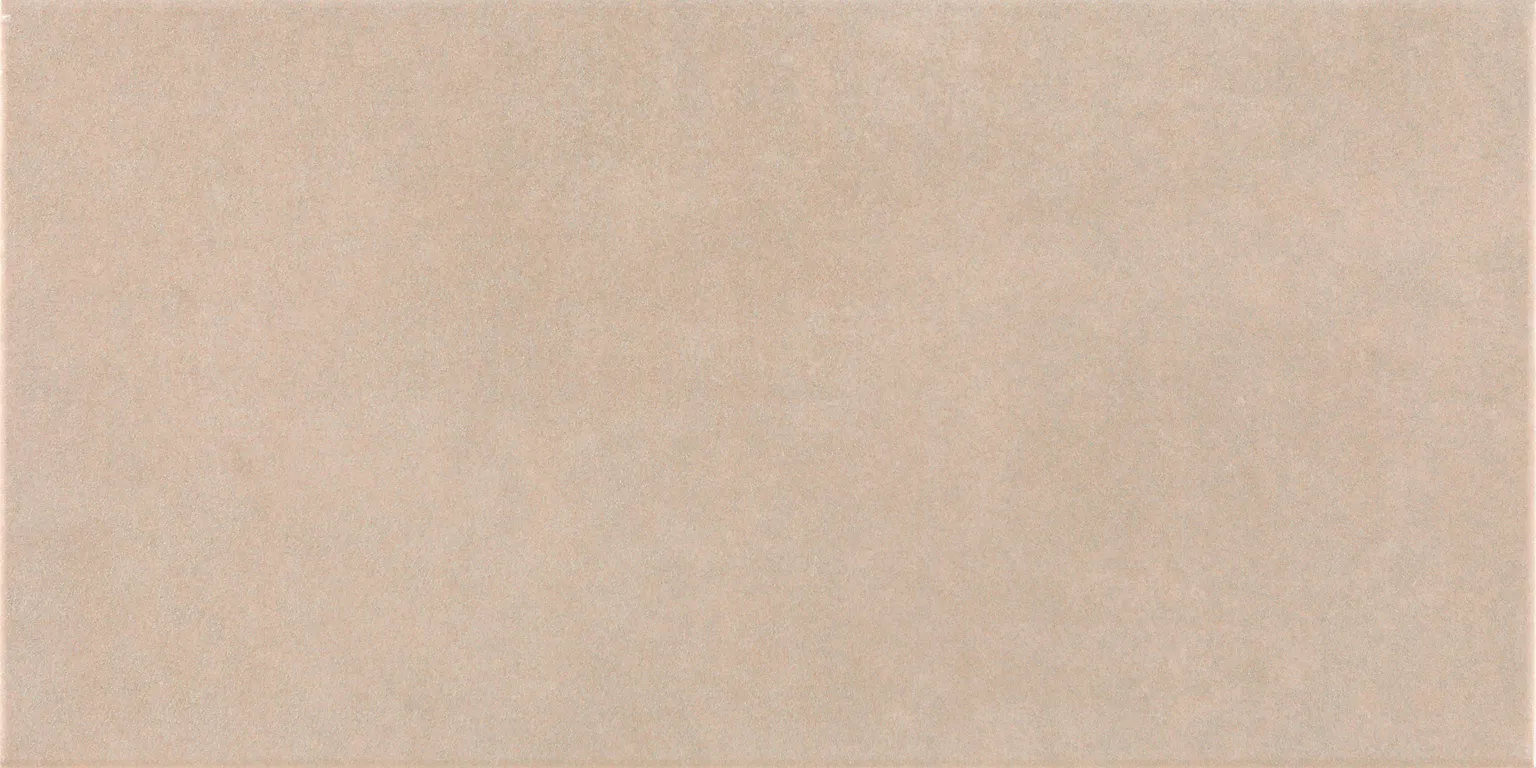 KERAAMILINE SEINAPLAAT PRISSMACER TECH ARENA 25X50CM