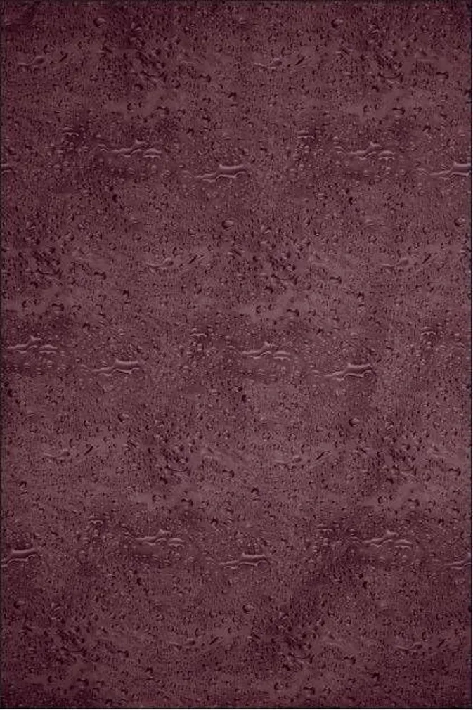 DUŠIKARDIN DUSCHY 628-56 180X200CM VEEPIISK VEINIPUNANE