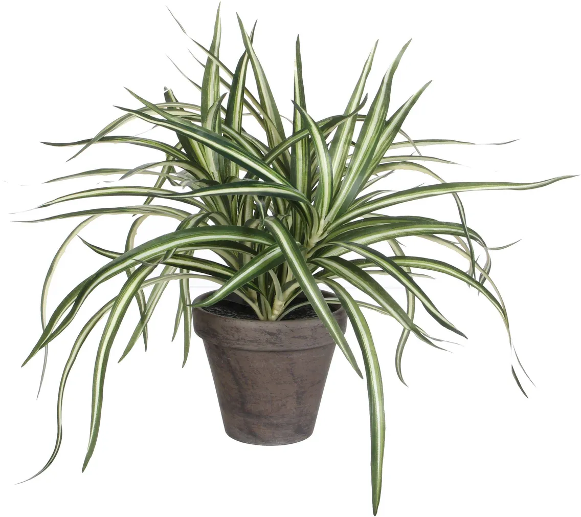 KUNSTLILL MICA DECORATIONS DRAAKONIPUU Ø40X34CM POTIS Ø11,5 VALGE/HALL