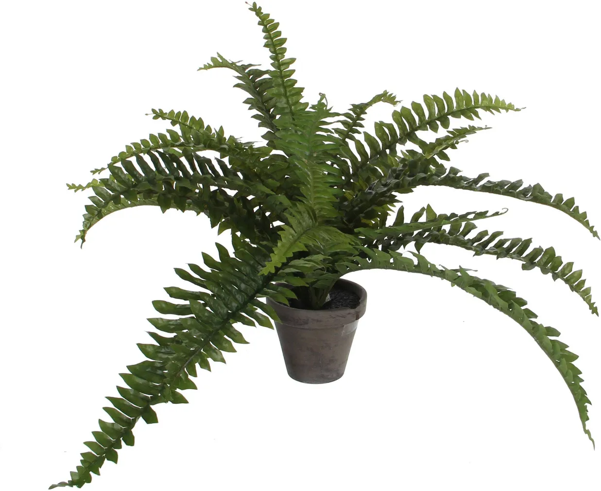 KUNSTLILL MICA DECORATIONS SÕNAJALG BOSTON Ø45X35CM POTIS Ø11,5 ROHELINE/HALL